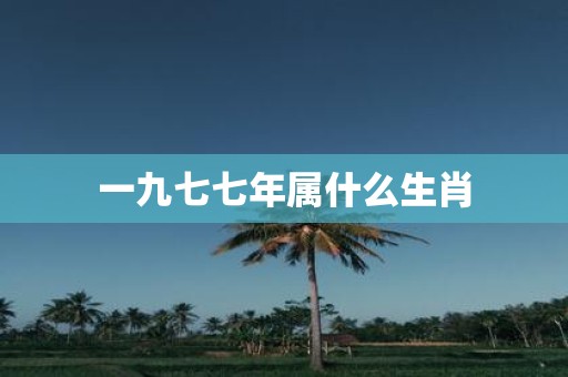 一九七七年属什么生肖