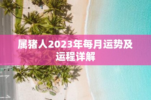 属猪人2025年每月运势及运程详解
