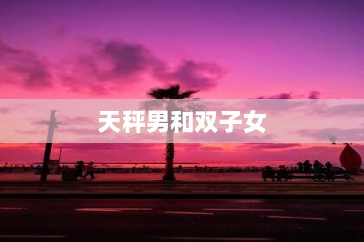 天秤男和双子女