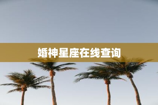 婚神星座在线查询