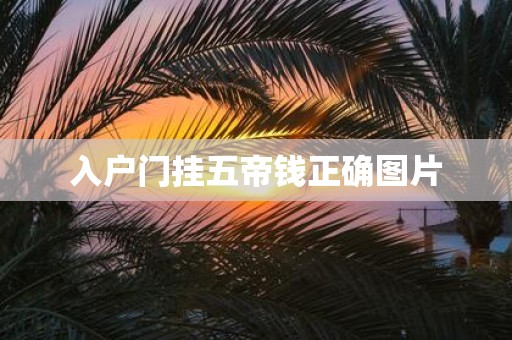 入户门挂五帝钱正确图片