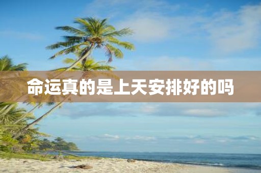命运真的是上天安排好的吗
