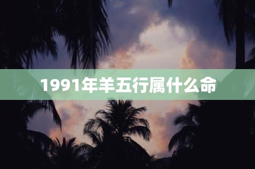 1991年羊五行属什么命