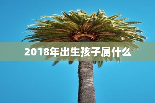 2018年出生孩子属什么