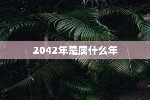 2042年是属什么年