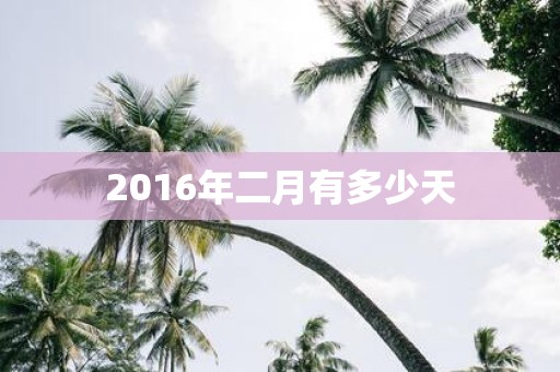 2016年二月有多少天