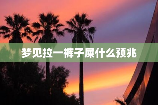梦见拉一裤子屎什么预兆