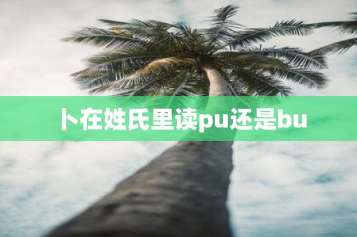 卜在姓氏里读pu还是bu