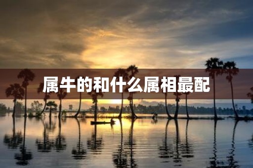 属牛的和什么属相最配