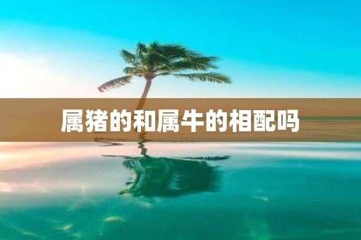 属猪的和属牛的相配吗