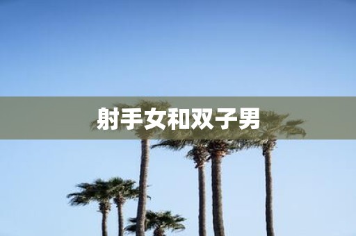 射手女和双子男