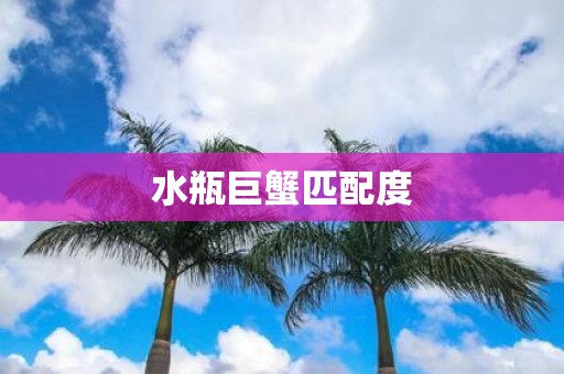 水瓶巨蟹匹配度
