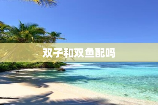 双子和双鱼配吗