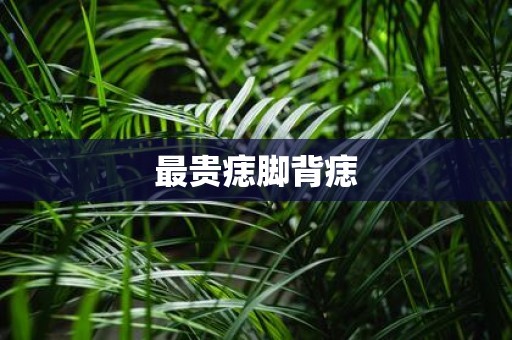 最贵痣脚背痣