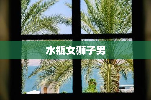 水瓶女狮子男