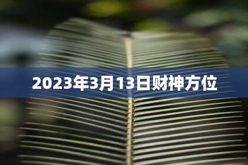 2025年3月13日财神方位