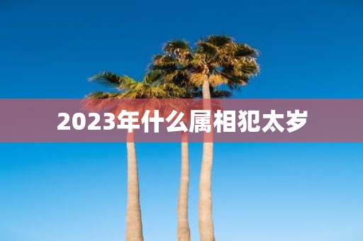 2025年什么属相犯太岁