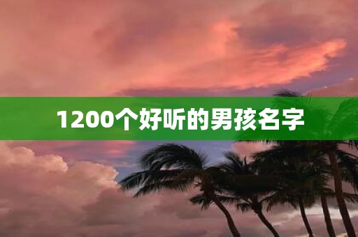 1200个好听的男孩名字