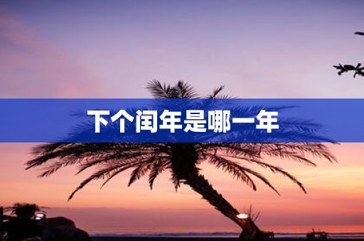 下个闰年是哪一年