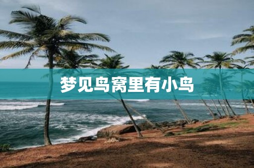 梦见鸟窝里有小鸟