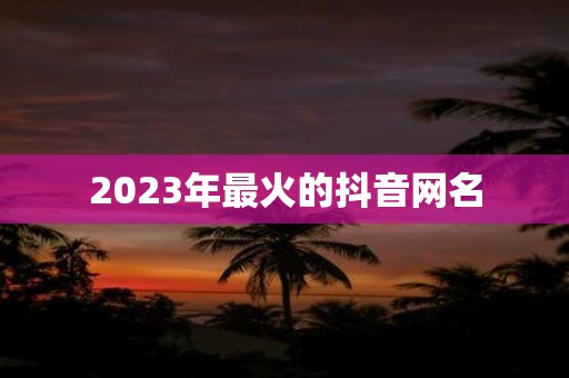 2025年最火的抖音网名