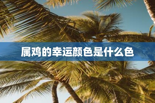 属鸡的幸运颜色是什么色