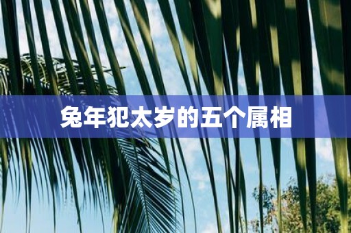 蛇年犯太岁的五个属相