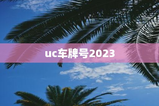 uc车牌号2025