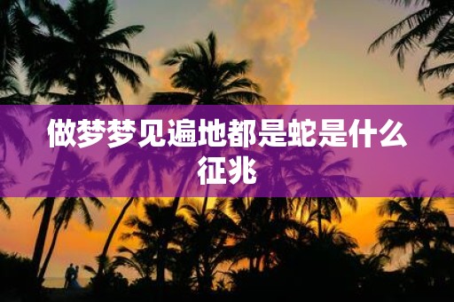 做梦梦见遍地都是蛇是什么征兆