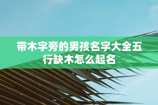 带木字旁的男孩名字大全五行缺木怎么起名