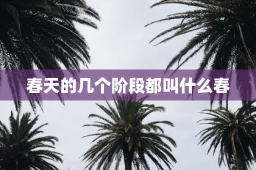 春天的几个阶段都叫什么春