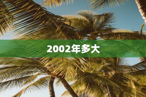 2002年多大