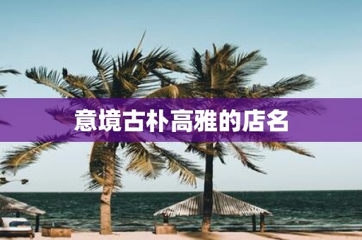 意境古朴高雅的店名