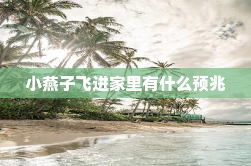 小燕子飞进家里有什么预兆