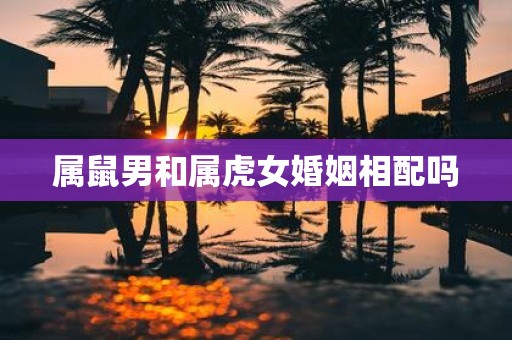 属鼠男和属虎女婚姻相配吗
