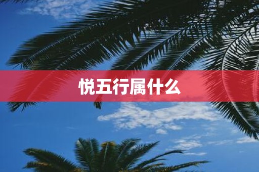 悦五行属什么