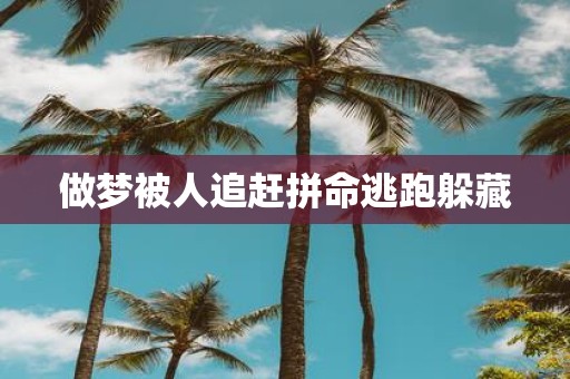 做梦被人追赶拼命逃跑躲藏