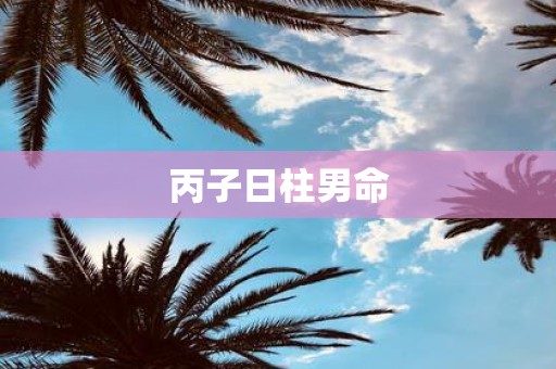 丙子日柱男命