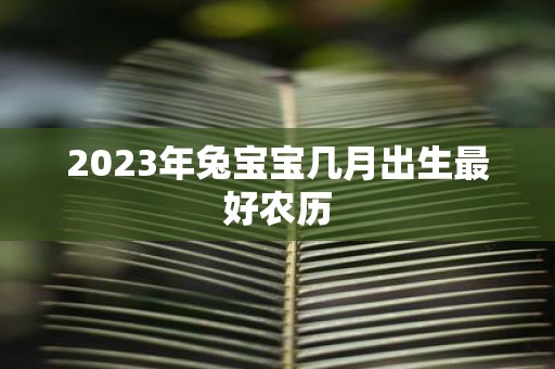 2025年兔宝宝几月出生最好农历