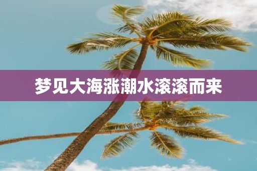 梦见大海涨潮水滚滚而来