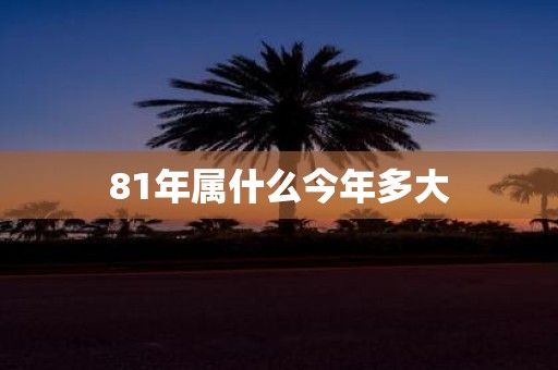81年属什么今年多大