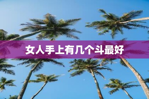 女人手上有几个斗最好