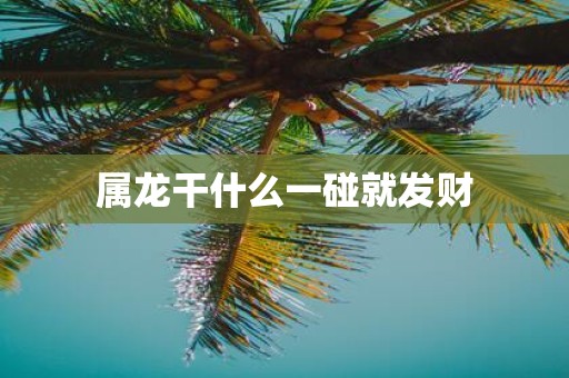 属龙干什么一碰就发财