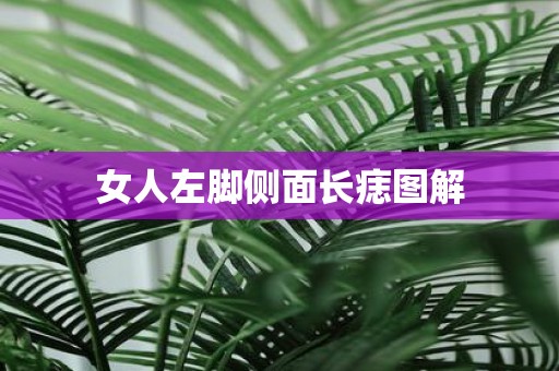 女人左脚侧面长痣图解