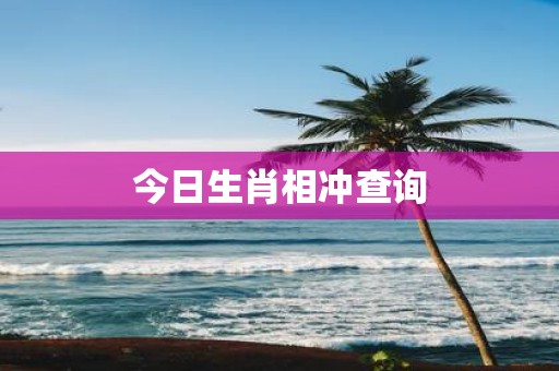 今日生肖相冲查询