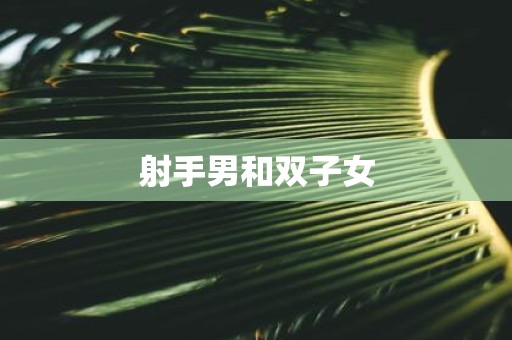 射手男和双子女