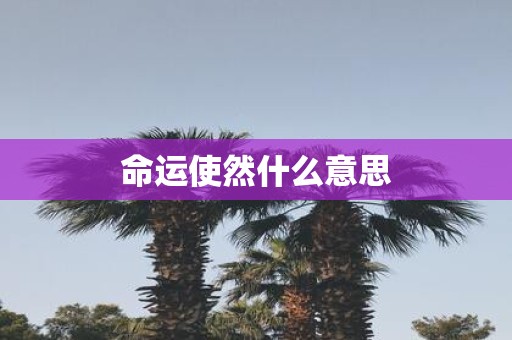 命运使然什么意思