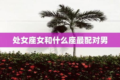 处女座女和什么座最配对男