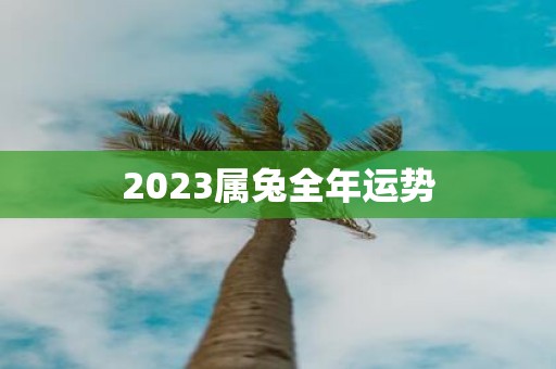 2025属兔全年运势