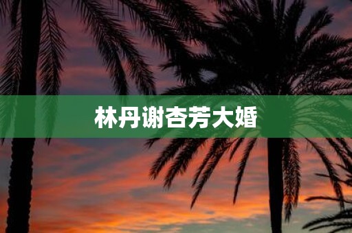 林丹谢杏芳大婚